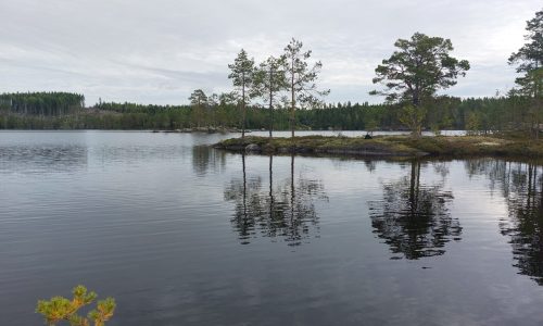 Kulltjärnen lake